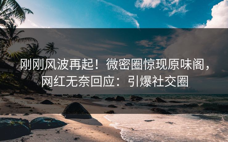 刚刚风波再起！微密圈惊现原味阁，网红无奈回应：引爆社交圈